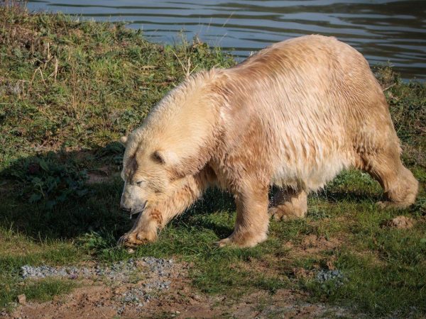 Jimmys Farm Wildlife Park 2