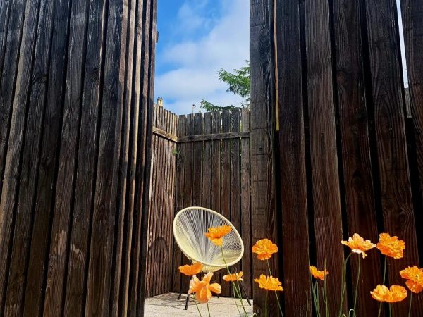 June Blakes Garden 10