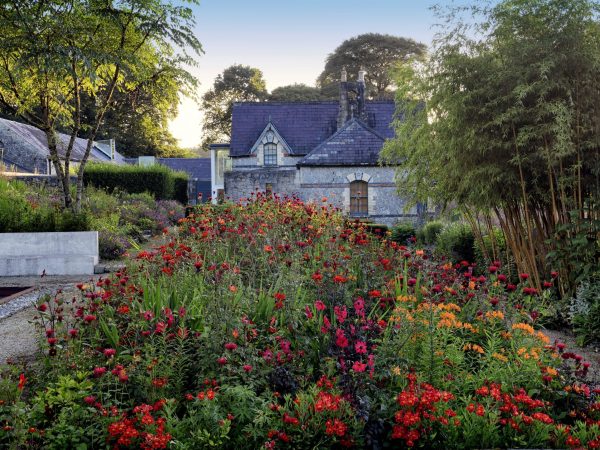 June Blakes Garden 11