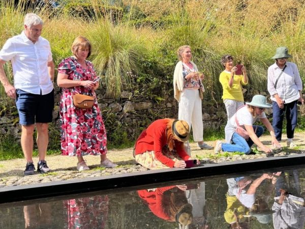 June Blakes Garden 13