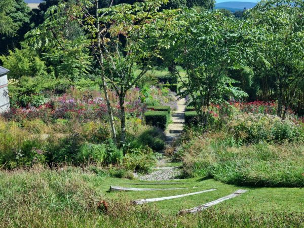 June Blakes Garden 2