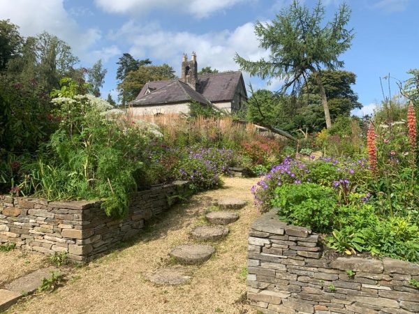 June Blakes Garden 4