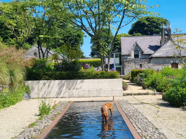 June Blakes Garden 7