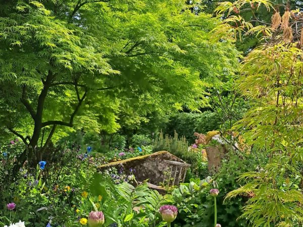 June Blakes Garden 8