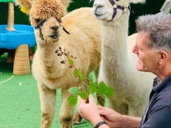 K2 Alpaca Farm Experiences 8