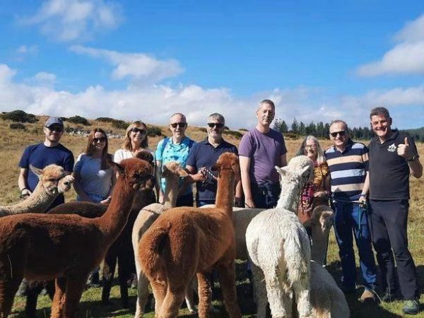 K2 Alpaca Farm Experiences 9