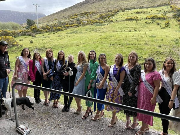 Kells Sheepdogs 12
