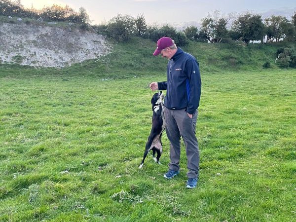 Kells Sheepdogs 2