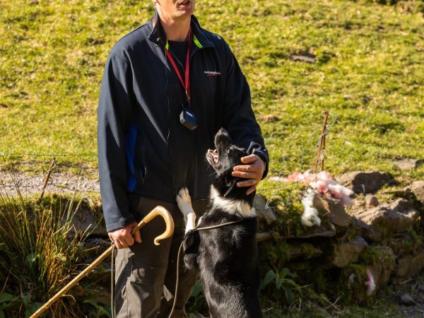 Kells Sheepdogs 4