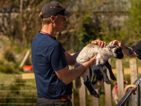 Kells Sheepdogs 6