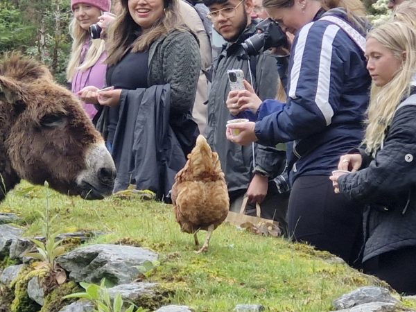 Kerry Experience Tours 11