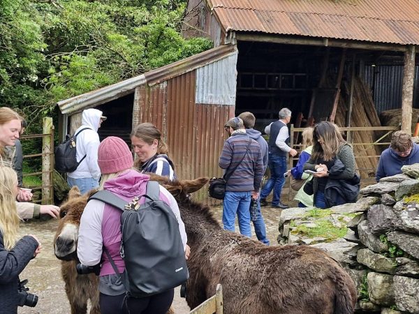 Kerry Experience Tours 5