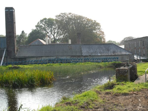Kerry Woollen Mills 12