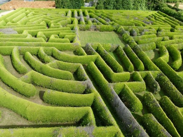 Kildare Maze 9
