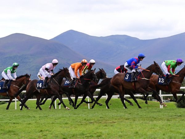 Killarney Racecourse 2
