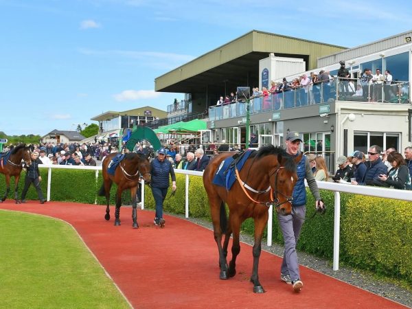Killarney Racecourse 7