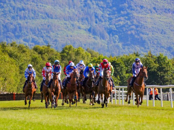 Killarney Racecourse 9