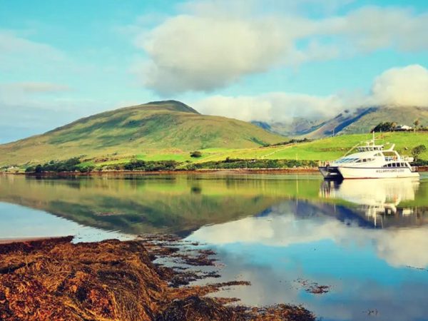 Killary Fjord Boat Tours 7