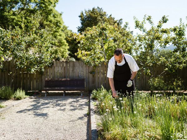 Kilruddery House Gardens 10