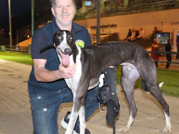 Kingdom Greyhound Stadium 2