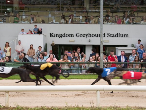 Kingdom Greyhound Stadium 6