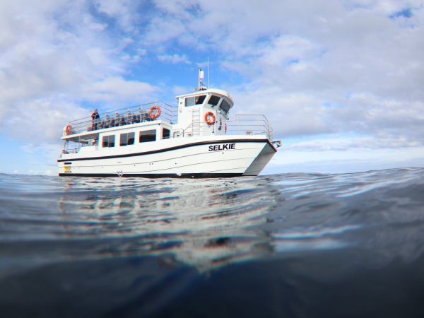 Kintra Boat Tours 1