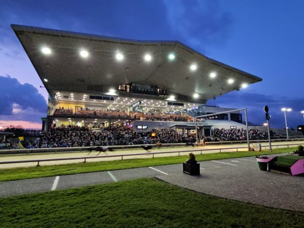 LIMERICK GREYHOUND STADIUM 1