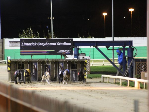 LIMERICK GREYHOUND STADIUM 2