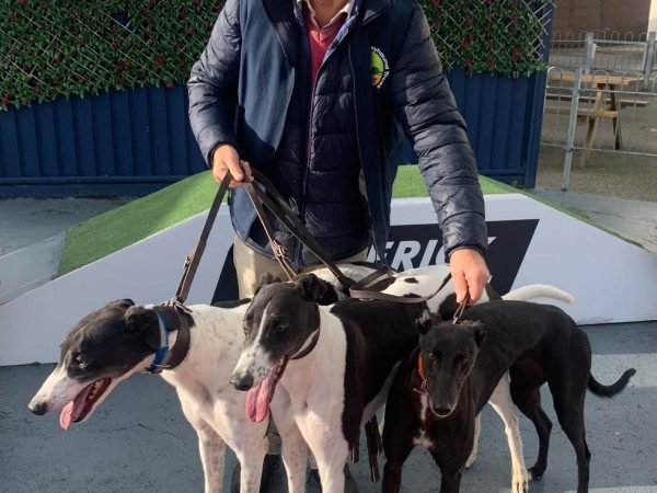 LIMERICK GREYHOUND STADIUM 3