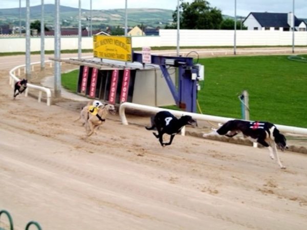 Lifford Greyhound Stadium 2