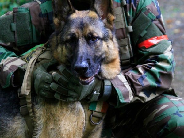 Limerick Airsoft Camp 6