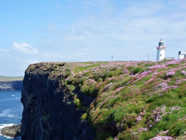 Loop Head Walking Tours 1