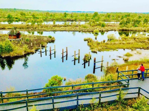 Lullymore Heritage 12