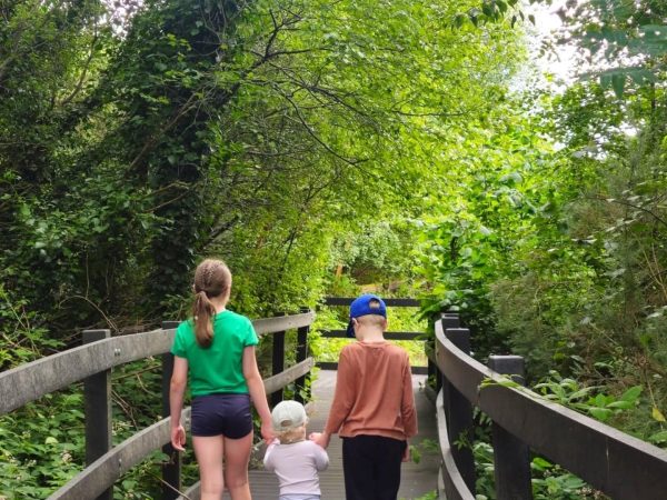 Lullymore Heritage 6