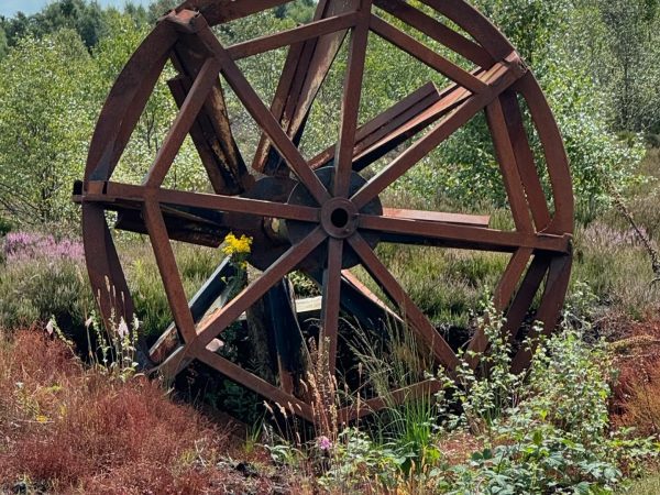 Lullymore Heritage 7