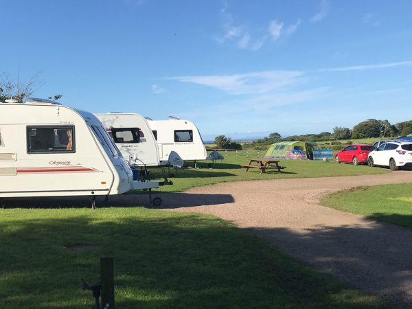 Maddybenny Campsite 1