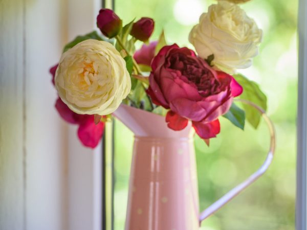 Mc Guires Red Door Cottages 11