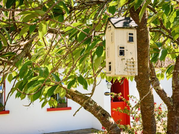 Mc Guires Red Door Cottages 4