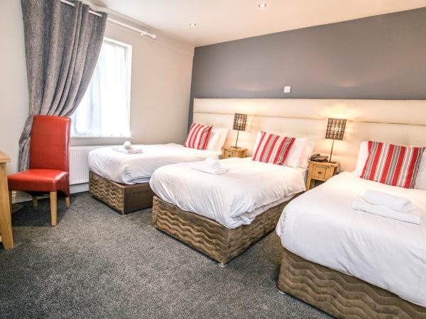 Mc Kevitts Village Hotel 1