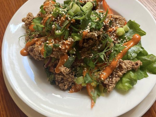 Mc Kevitts Village Hotel 4