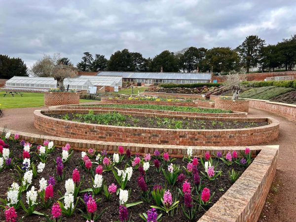 Mediterranean Garden