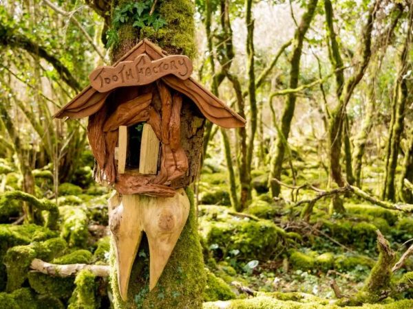 Michael Cusack Heritage Centre 4