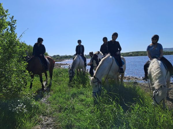 Moorlands Equestrian Centre 11