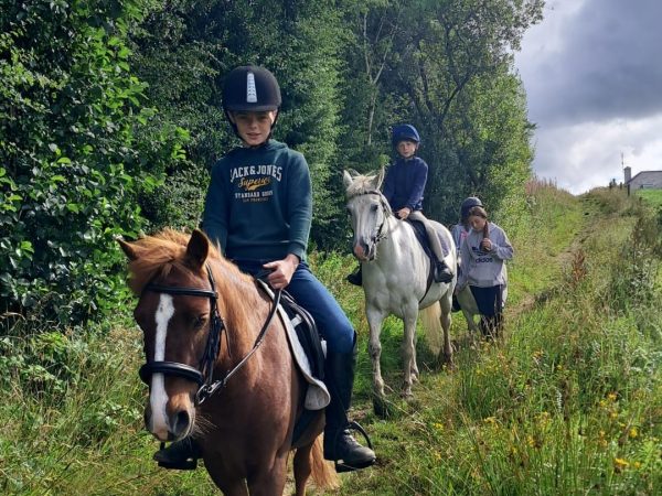 Moorlands Equestrian Centre 2