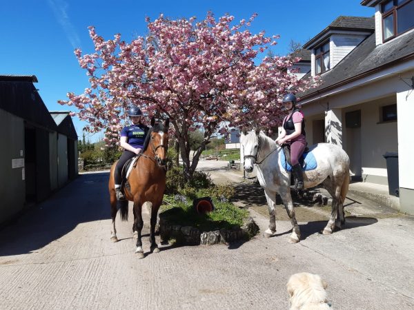 Moorlands Equestrian Centre 3