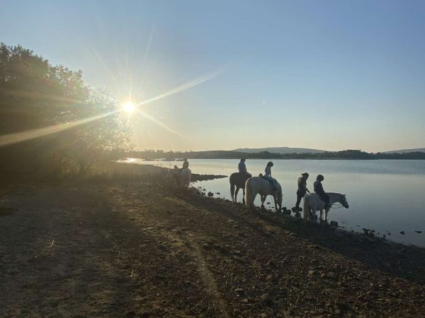 Moorlands Equestrian Centre 4