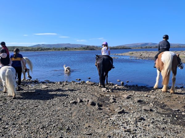 Moorlands Equestrian Centre 5