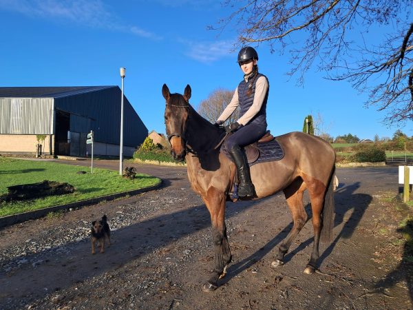 Moorlands Equestrian Centre 8