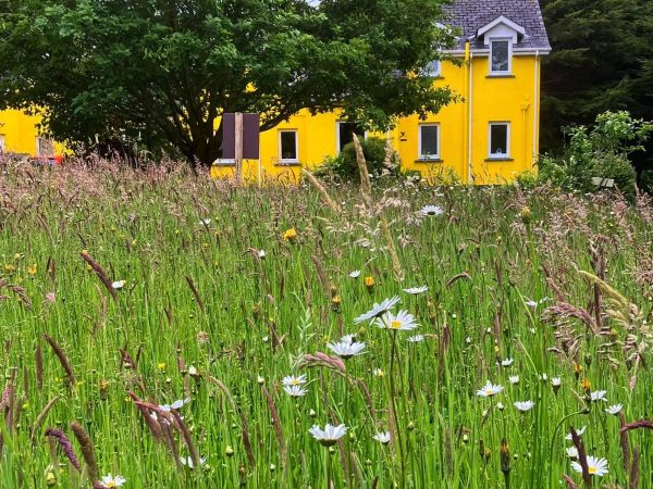 Mount Brandon Cottages 10