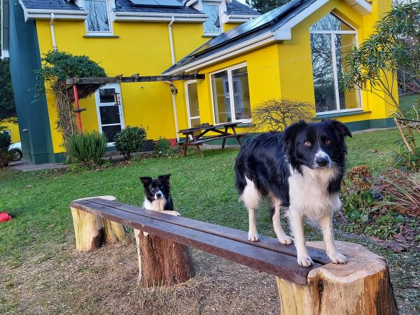 Mount Brandon Cottages 11